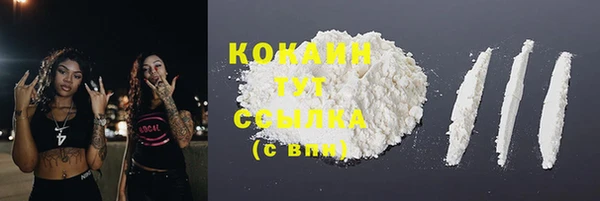 гидропоника Богданович