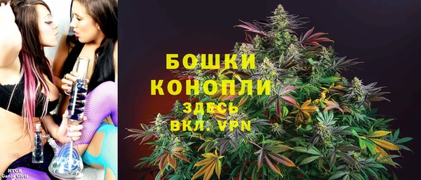 гидропоника Богданович