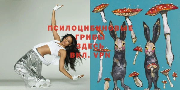 гидропоника Богданович