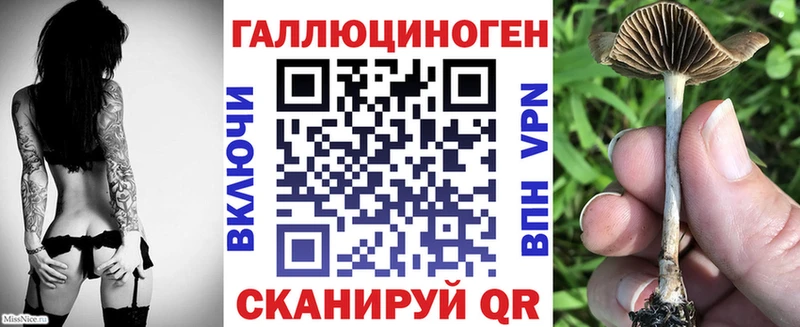 Псилоцибиновые грибы Psilocybine cubensis  Владимир 